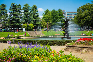 Fototapeta premium 快晴の世田谷公園