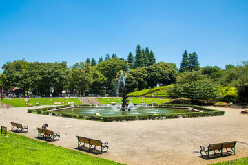 快晴の世田谷公園