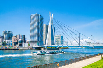 Naklejka premium 東京 隅田川と中央大橋