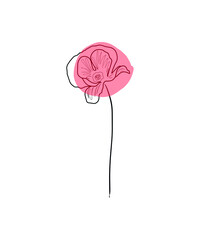 vector flower, simple flower illustration on a white background, botanical boho style illustration, graphic flower line in flat graphics