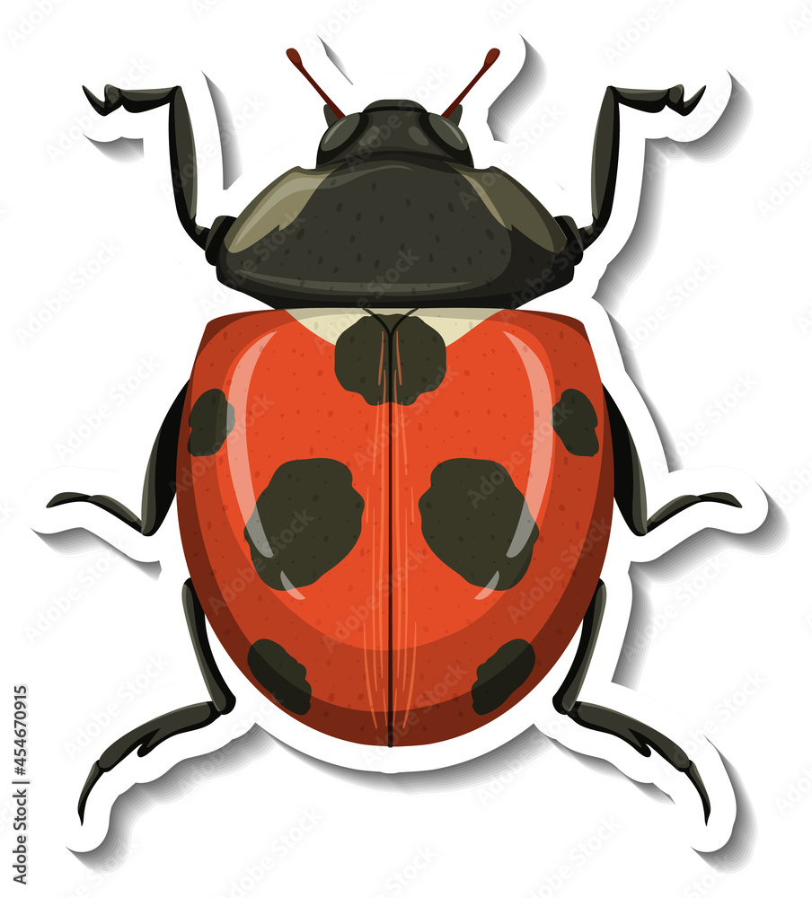 Sticker a sticker template with a ladybug isolated