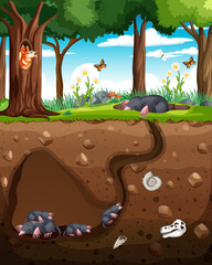 Underground animal burrow with mole family