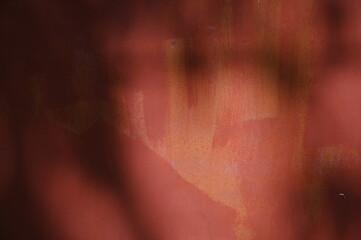 Fototapeta premium Abstract gray shadow background of natural leaves tree branch falling&nbsp; wall texture for background and wallpaper, nature shadow pattern art on wall 