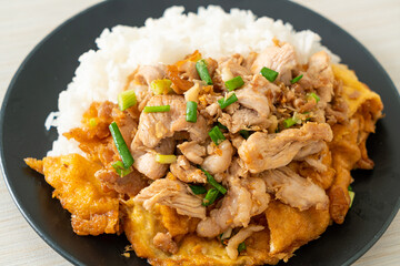 stir-fried pork with garlic and egg topped on rice