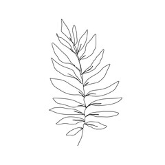 Botanical Line Art Drawing of Simple Leaves Branch. Minimal Abstract Floral Modern Art Illustration. Minimal Botanical Flower One Line Drawing. Vector EPS 10