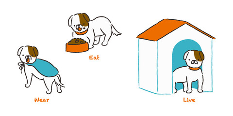 犬の衣・食・住