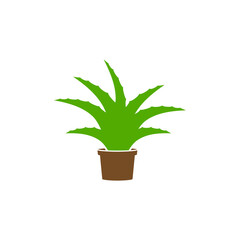 Aloe vera icon design illustration template