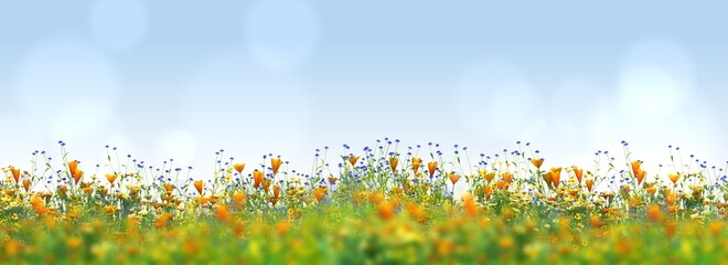 Panorama of a flower meadow in summer, 3d rendering