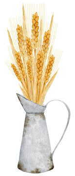 Wheat bouquet in a watering can. Watercolor illustration. Autumn farm decor. Isolated clipart element on white background