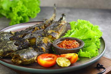 Lele Goreng or Pecel Lele with sambal served with fresh lettuce and tomato. Indoesian food made from fried cat fish. Grey grainy background. 