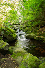 waterfall in the forest