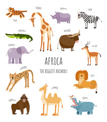 Obraz premium Vector collection with biggest african animals. Illustration with cute animals for children. Elephant, giraffe, crocodile, tiger, buffalo, zebra, antelope and rhino. 