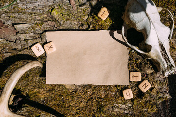 Craft paper mockup template on the background of forest magic nature