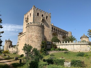 Fototapeta na wymiar Castillo medieval de Extremadura