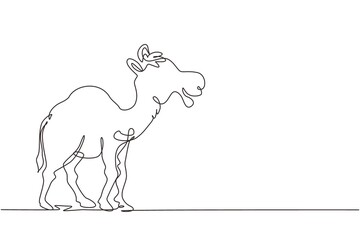 Single one line drawing strong desert Arabic camel for logo. Cute mammal animal concept for livestock husbandry, tourism, transportation. Modern continuous line draw design graphic vector illustration