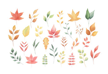 Fototapeta na wymiar Watercolor autumn fall leaves hand-painted set isolated on white background. Colorful botanical foliage for invitations, greeting cards. Thanksgiving day. 
