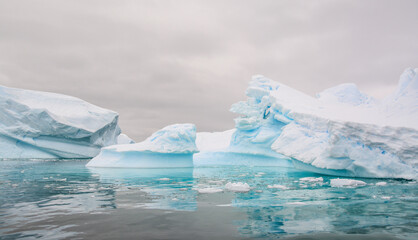 Icebergs in the waters of the Antarctic Peninsula