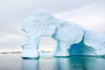 Icebergs in the waters of the Antarctic Peninsula