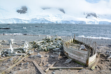 Abandoned, shipwrecked Boat and Whale Bones, on the Antarctic Peninsula