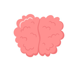 Hand drawn human brain front view. Symbol of mind. Vector cartoon illustration isolated on white background.