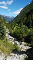 Fototapeta na wymiar Schöne Natur der Tessiner Berge und Flüsse
