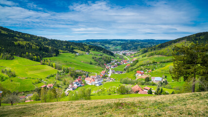 Germany, Idyllic schwarzwald village elzach yach houses surrounded by majestic forest covered...