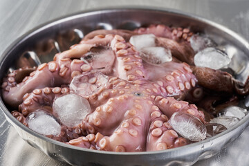 Octopus on ice in a bowl