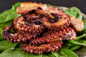 Grilled octopus on leaves © Xalanx