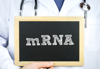 Messenger RNA - mrna messenger ribonucleic acid