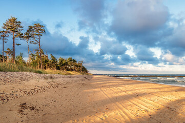 Beautiful sandy beach on the Baltic Sea, view towards the city of Darłowo. Dunes covered with grasses and pine forests, morning shadows on the beach