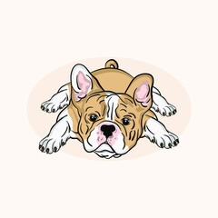 cute funny pet puppy french bulldog puppy vector illustration