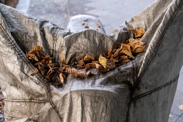 Autumn slowly comes to Berlin