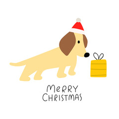 Little Dachshund with Christmas gift. Merry Christmas. Funny illustration on white background.