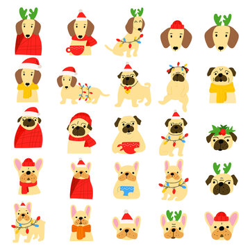 Collection of dogs for Christmas concept. Pug, French bulldog, dachshund. Hand drawn vector illustrations on white background. 