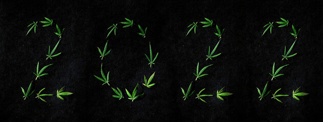 Pattern of cannabis leaves in the form of numbers 2021 on a dark background. The concept of a new...