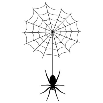 Vector image of a black spider with cobwebs on a white background