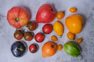Colourful fresh juicy season tomatoes