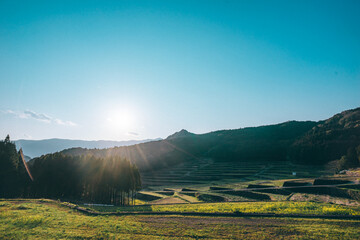 朝日が差し込む棚田の景色