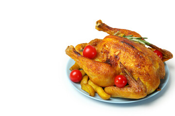 Thanksgiving Day roast turkey on white background