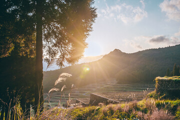 夕日が差し込む田舎の景色