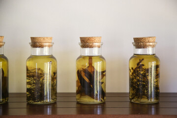 Herbs infused oil in glass jars.
