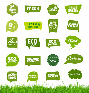 Set of organic fresh natural and tasty food labels