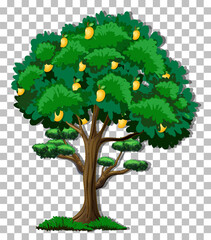 Mango tree on transparent background