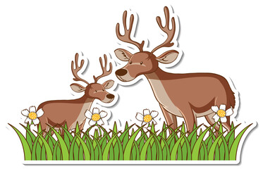 Two deers standing in grass field sticker