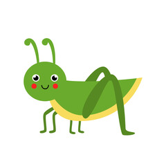 Cute vector grasshopper isolated on white background.
