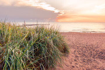 Entrance to a beautiful, empty beach on the Baltic Sea, sandy beach and tall grass in the foreground, setting sun in the background