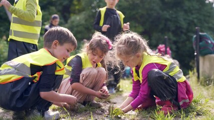 forest kindergarten. Happy Preschool group of children play in the swamp in park or forest. Outdoors small child have fun playing with mud in a woods. Hike. Summer Camp curious, leisure in nature