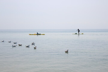 Tourists sail in kayaks on the sea around an island in the Black Sea