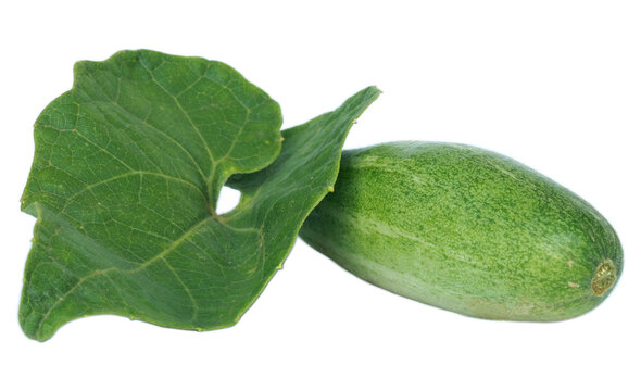 Pointed gourd with leaf over white background