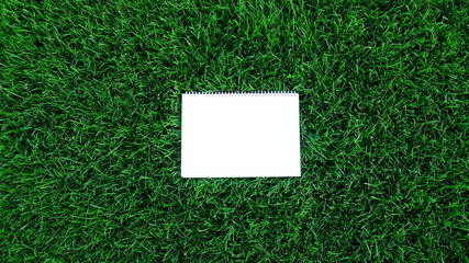Mock-up empty white paper on green grass background. Сard on nature for message flat lay with copy space for text or products presentation. Nature concept, business and lifestyle environment. Top view
